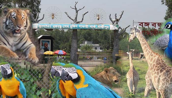  বঙ্গবন্ধু শেখ মুজিব সাফারি পার্ক