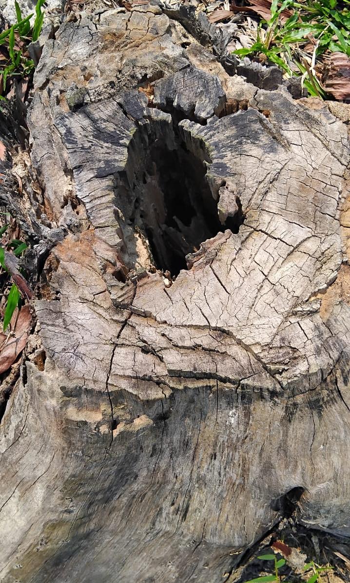 সিলেটে প্রবাসী ভাইদের সম্পত্তি রক্ষায় গিয়ে ব্যবসায়ীকে প্রাণনাশের হুমকি