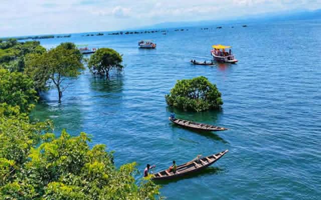 জীববৈচিত্র্যে সমৃদ্ধ রূপসী টাঙ্গুয়ার হাওর: সংকট ও সম্ভাবনার দোলাচল