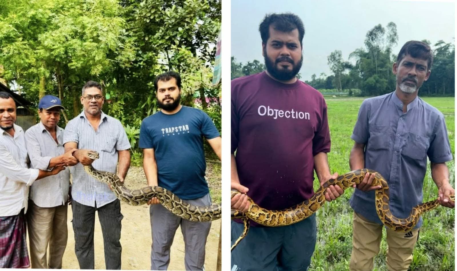 শ্রীমঙ্গলে লোকালয় থেকে দুটি অজগর উদ্ধার 